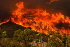 Wildfires